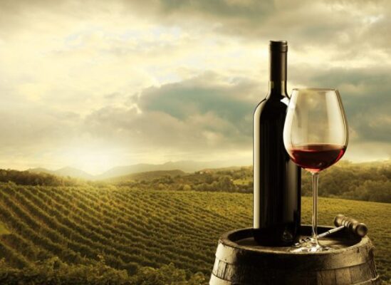 Rượu vang Pháp cách chọn rượu ngon-Hotline: 0982.219.748