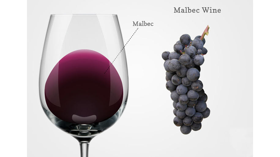 Nho Malbec