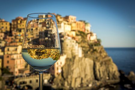 Nhờ sự phong phú của những vườn nho, Italia đã có một nền văn hóa lâu đời không thể tách rời với rượu vang