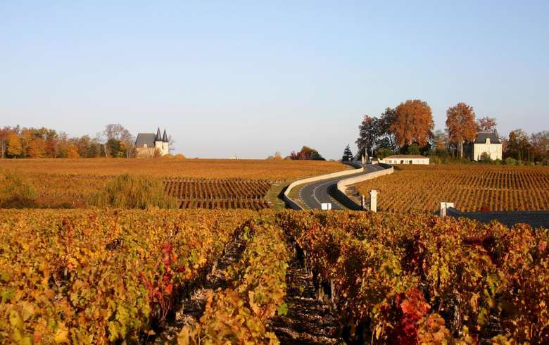 Trải dài trên 57 vùng sản xuất rượu vang, có đến 10.000 lâu đài (Chateau) và 13.000 vườn nho