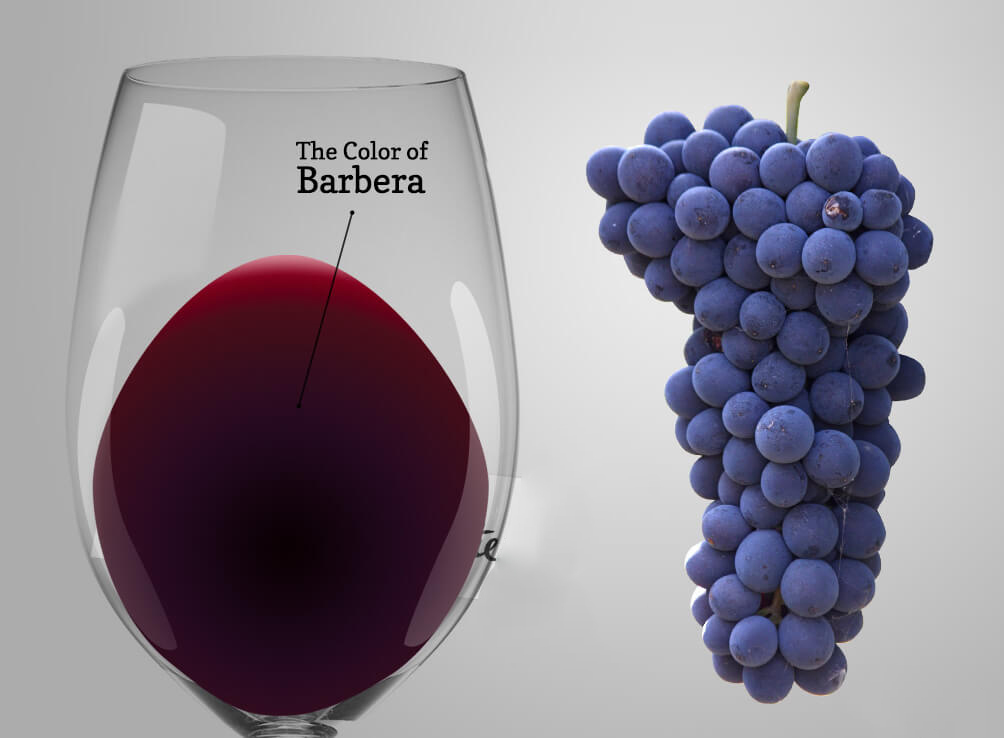 Rượu vang Barbera rất hài hòa có thể dùng kèm khi ăn bất kì loại thức ăn nào kể cả với mì trộn và sốt cà chua.
