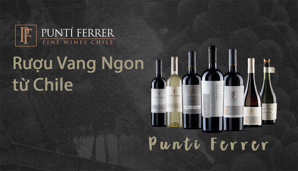 Các loại rượu vang ngon từ nhà Punti Ferrer – Phần lớn là các loại rượu vang trẻ 
