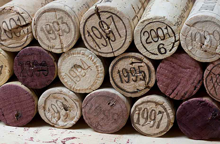 Vintage (hay niên vụ) là năm thu hoạch nho và sản xuất rượu vang